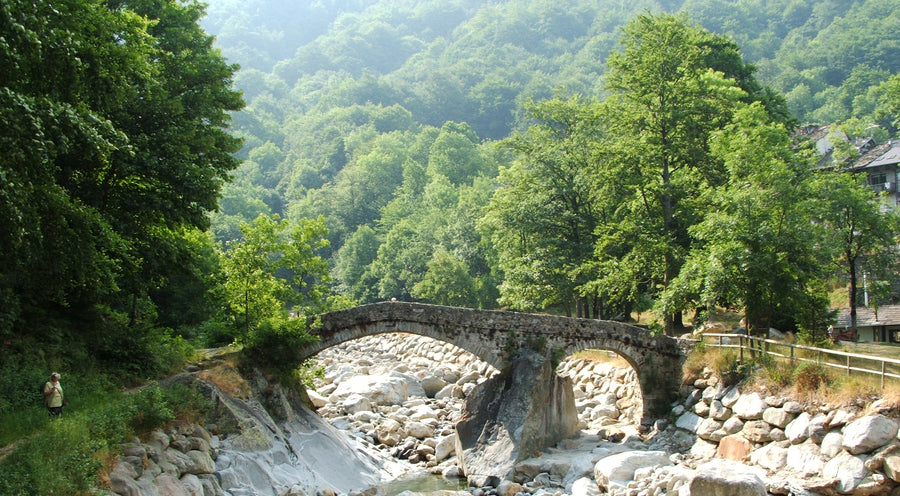 La Valle Cervo: terra madre di Valsaar