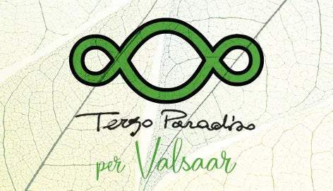 Hai visto il simbolo del Terzo Paradiso sulle tue Valsaar, ma non ti è chiaro il significato? - Barbera Sandro e Figli s.n.c.