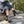 Carica immagine nella Gallery, 801 Verde
