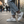 Load image into Gallery viewer, Hollywood Zebra
