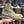 Load image into Gallery viewer, SW /27
